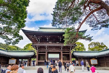 Afternoon Small Group Tour in Tokyo