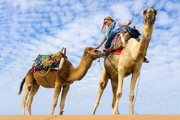 Experiene Camel or Horse Riding Journey - Sharm El Sheikh