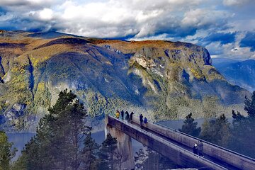 Full Day Tour to Naeroyfjord in Sognefjord, Flam and Stegastein