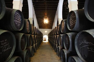 Jerez Winery Tour and wine tasting