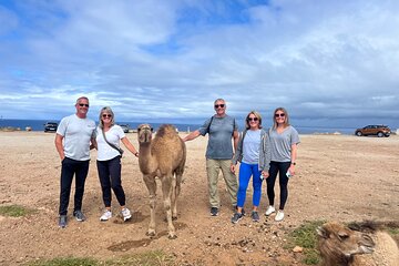 Tangier Private Tour with Moroccan Lunch and Camel Ride Included