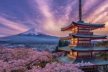 Mt.Fuji and Hakone Private SightSeeing Day Tour(from Tokyo)