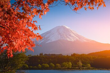Mt.Fuji and Hakone Private SightSeeing Day Tour(from Tokyo)