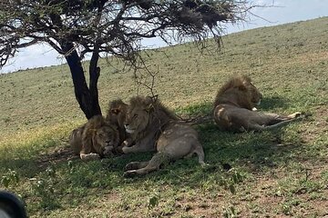 1. Day safaris to Mikumi by Train from dar es salaam 