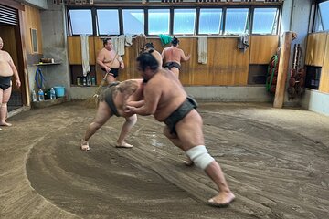 Sumo Stable Morning Practice and Ryogoku Historic Town tour