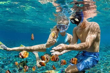 All Inclusive Bali Blue Lagoon and Tanjung Jepun Snorkeling