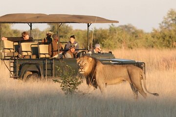 Full Day Hluhluwe Imfolozi Big 5 Game Reserve Tour from Durban