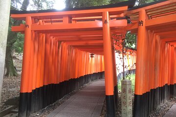 Fushimi Inari Taisha Half-Day Private Guided Tour