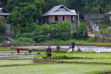 Discover Mai Chau's Hidden Beauty: Cycling in Rural Villages