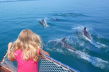 Samadai Reef - Dolphin House Snorkeling Tour at Marsa Alam