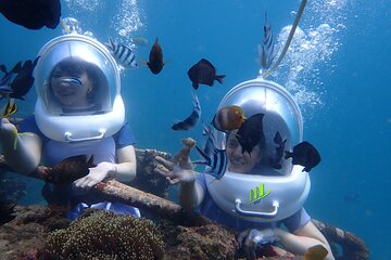Nusa Dua Marine Activities Sea Walk and Parasailing Adventure