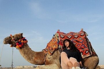 One Hour Camel Ride through the Desert with Transfer Marsa Alam