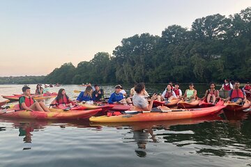 Evening Bat Watching Kayak Tour