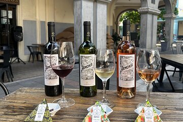 1-hour Wine Tasting and Pepa de Oro Chocolates Experience