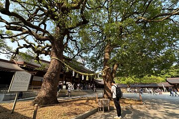 Sacred Morning Walk and Brunch Meiji Shrine