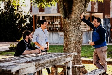 Vineyard Tour in San Antonio de Areco