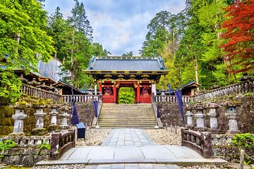 Tokyo to Nikko Highlights Tour with Temples, Waterfalls and Lakes