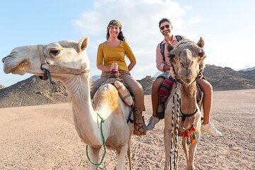 2 Hours Camel Riding Adventure in the Forests & Rivers – Agadir