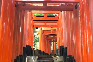 【Fushimi inari shrine】A local born in Kyoto shares the secret path away tourists