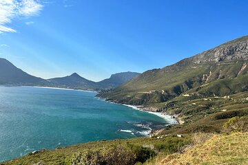 Full Day Private Tour in Cape Town 