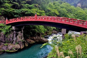 One Day Private Tour Nikko Tochigi by Car with Guide