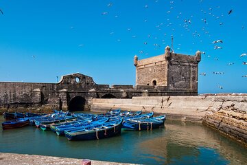 Enchanting Essaouira Day Trip of History & Adventure - Agadir