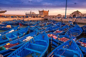 Explore Coastal Gem in Essaouira from Marrakech Day Tour