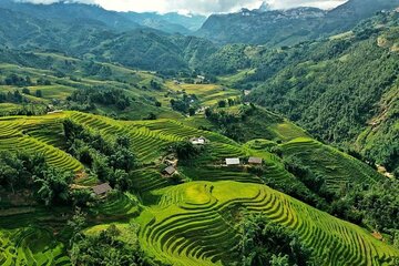 2 Days 1 Night Sapa Trekking Group Tour with Accommodation