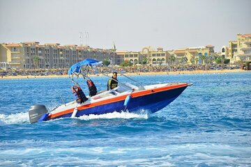 Semi Private Dolphin Swim by Speedboat Trip & Transfer – Hurghada