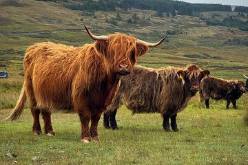 Glencoe, Glenfinnan, Scottish Highlands Day Tour From Edinburgh