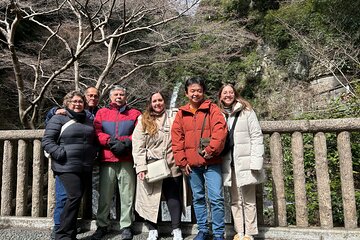 Zero Emission Car Private Kyoto Tour with Japanese Guide