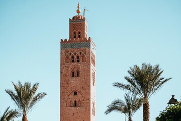 Day Trip To Marrakech from Agadir and Taghazout