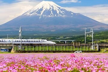 Mt Fuji 5th Station Kawaguchiko Gotemba Outlet Mall Tour