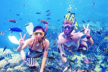 Snorkeling Acticity in Big Giftun Island