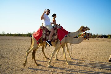 1 Hour Camel Ride and Jeep Adventure with Stargazing in Hurghada