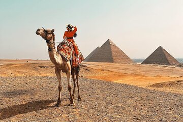  Full Day Trip to Cairo from Hurghada