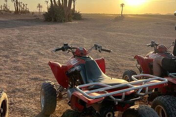 Marrakech palmeraie Quad Bike Experience with transfers