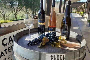 Kumeu Winery Boutique Tour with Gourmet Lunch from Auckland