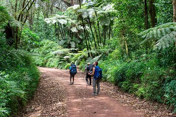 Marangu Route Kilimanjaro 6 Day Expedition