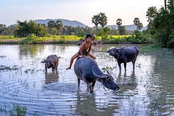 Phnom Penh to Siem Reap include Sambor Prei Kuk by Private Car