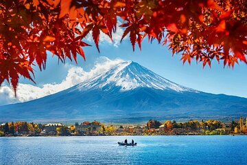 Mt Fuji 5th Station/Arakurayama Sengen Park & Oshino Hakkai Tour