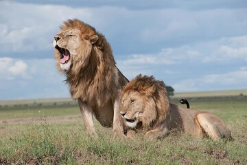 4 Days Safari Tour at Tarangire, Serengeti and Ngorongoro Crater