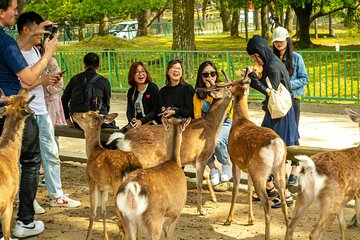 Kyoto and Nara Friendly Two-Day Walking Tour with Guide