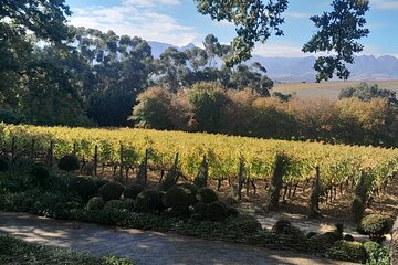 Table Mountain and Stellenbosch Wine Tasting Private Tour 