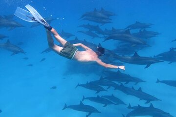 Dolphin House Snorkeling Trip & Water Sport With Lunch - Hurghada
