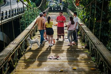 Ubud Guided Walking Tour