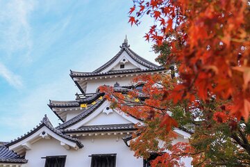 Explore the Historic Castle Town of Hikone from Kyoto