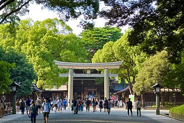 Tokyo Meiji Shrine and Shinto Culture Walking Tour