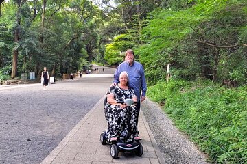 Full-Day Accessible Tour of Tokyo for Wheelchair Users