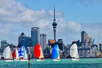 Private Half-Day City Tour : Heart of Auckland